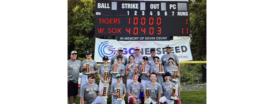White Sox Win Majors Championship